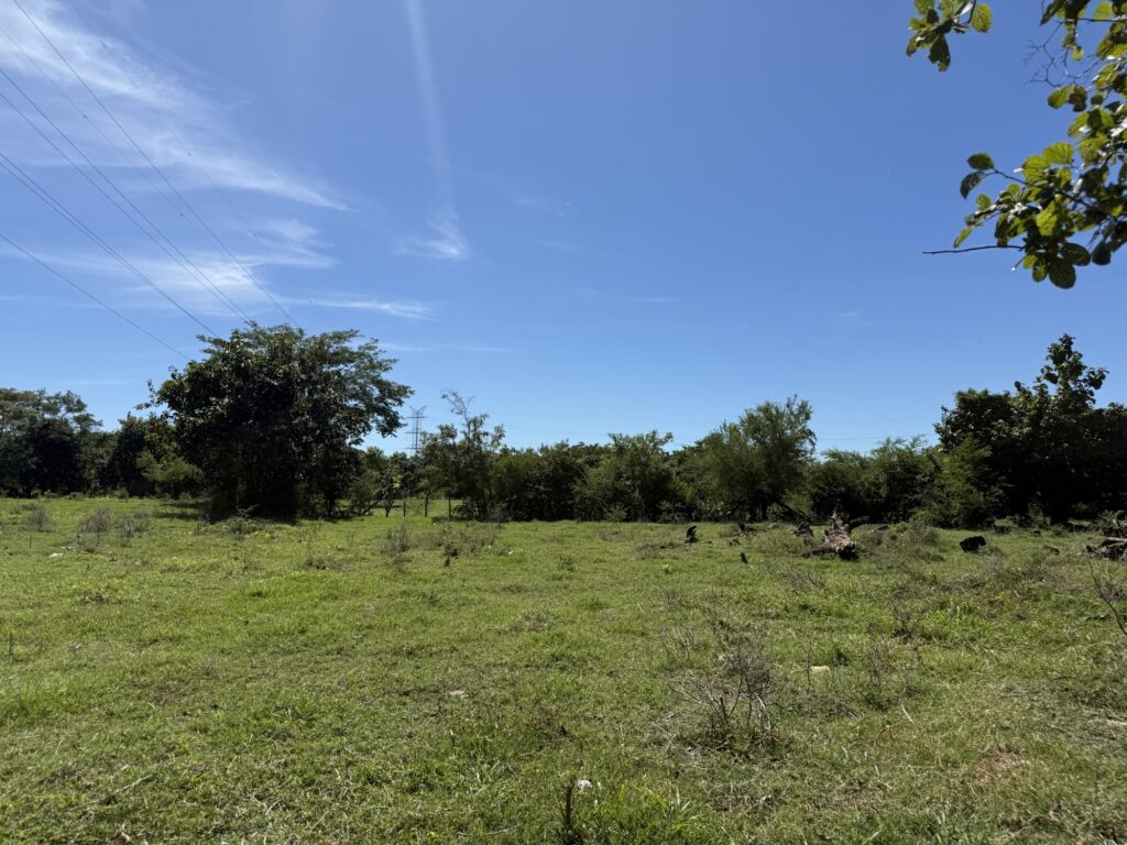Oportunidad de invertir en la compra de 3 manzanas de terreno en calle a Los Cobanos, Acajutla, Sonsonate